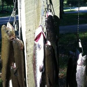 Meet your Posher, Greg